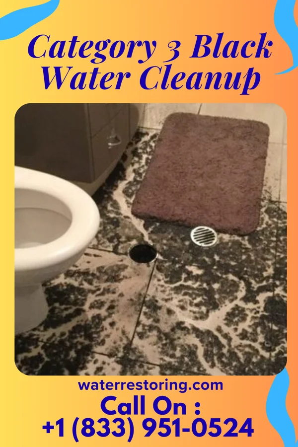 Category 3 Black Water Cleanup in Carthage, MO