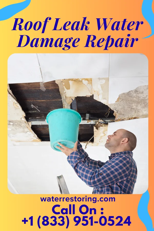 Roof Leak Water Damage Repair in Carthage, MO